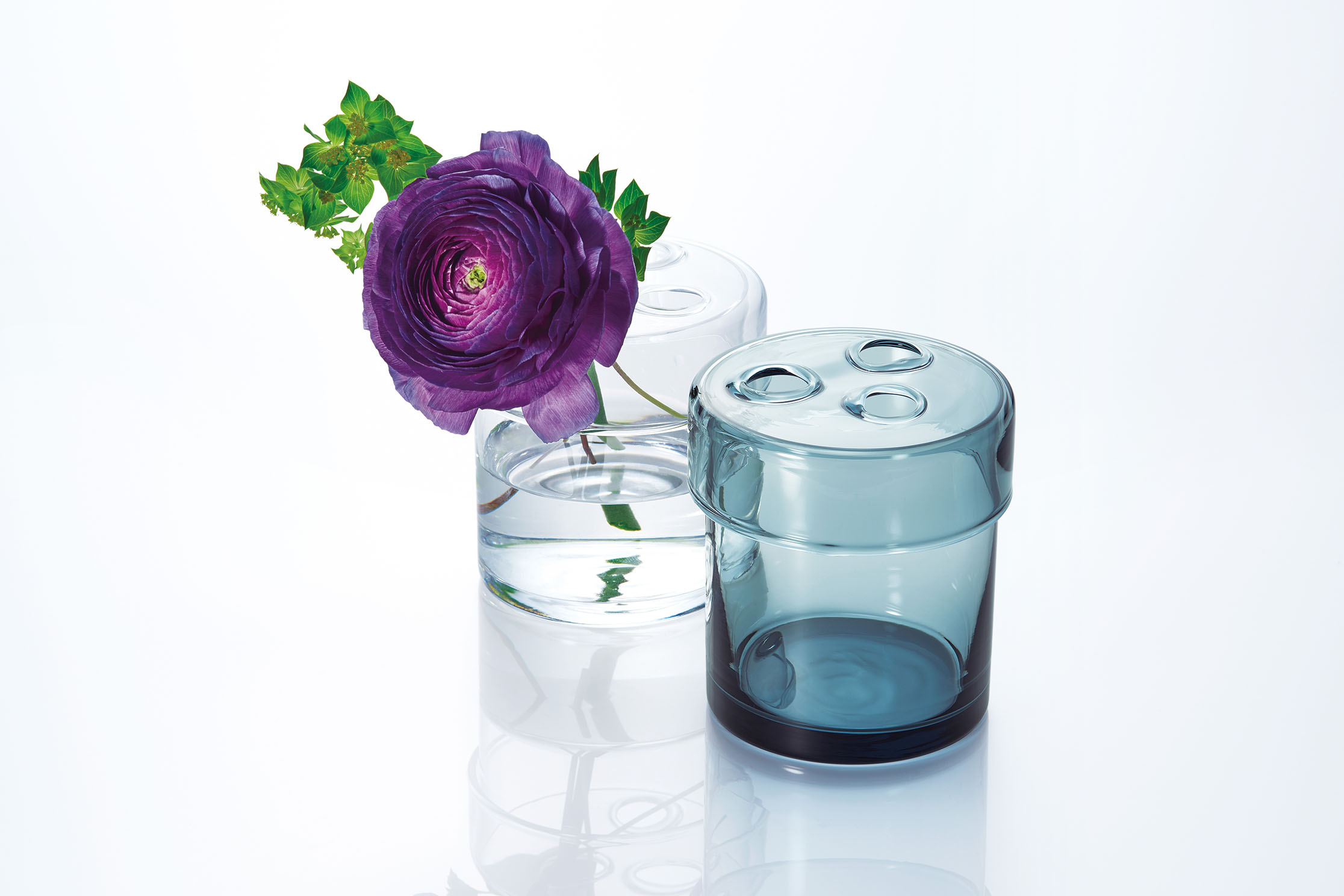 TORUS | コレクション | Sghr