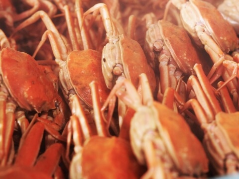 蟹乃寶箱（香箱蟹）｜杉野屋与作・石川県能登