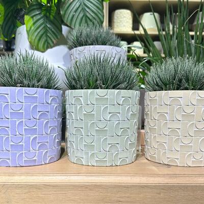 セメント製の鉢カバー｜WEBコラム｜商品案内｜杉田エース株式会社