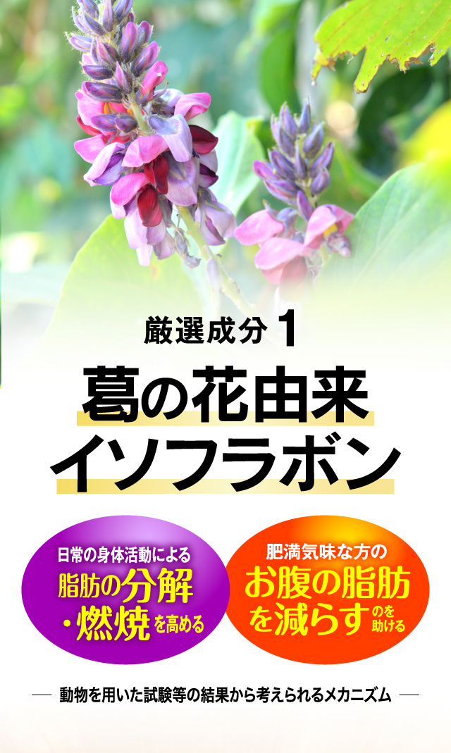 公式】シボヘール3｜ ハーブ健康本舗