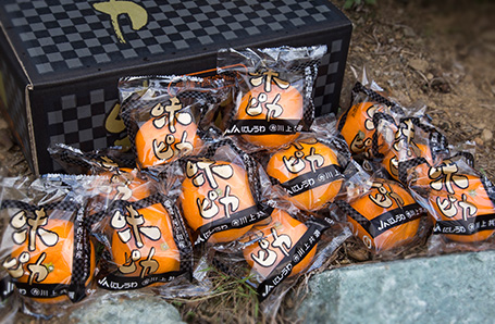 12月のP-プラス青果物 JAにしうわ川上共選【味ピカみかん