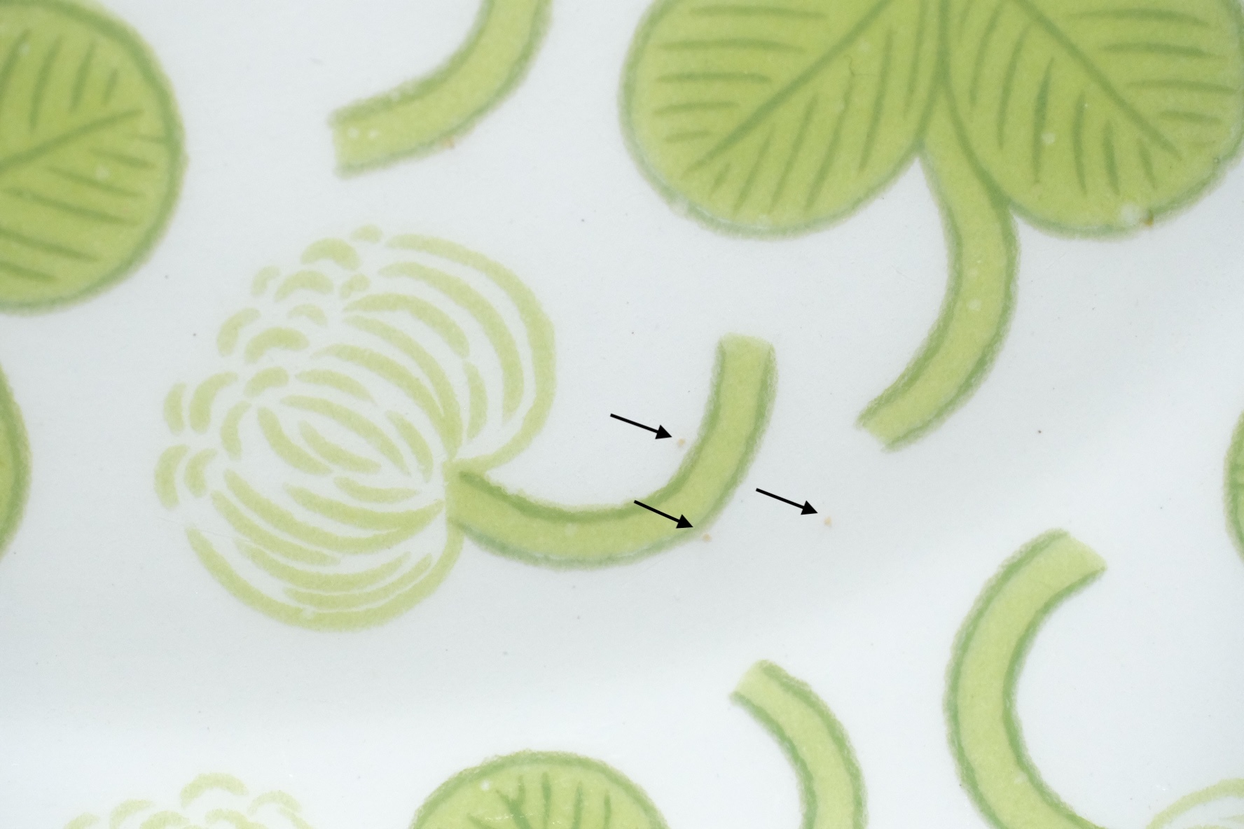 ARABIA/アラビア/Apila/アピラ/楕円形プレート/初期アピラ