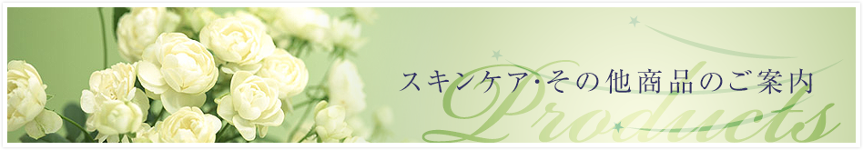 サンナホル モイスチャーCQジェル｜スキンケア商品のご案内