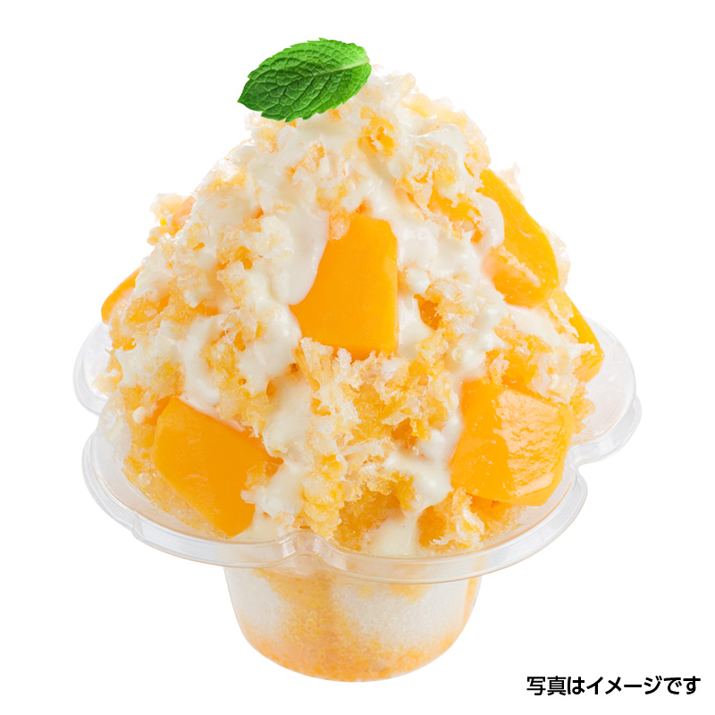 サンナップ公式 SUNNAP the STORE / かき氷カップ ミニフルール 380ml