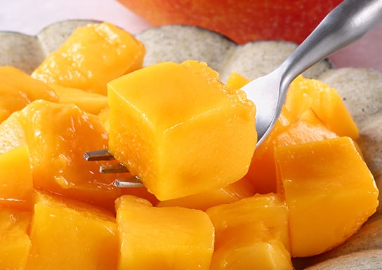 摘果マンゴー（青マンゴー） 沖縄 燦々マンゴー【公式通販2023