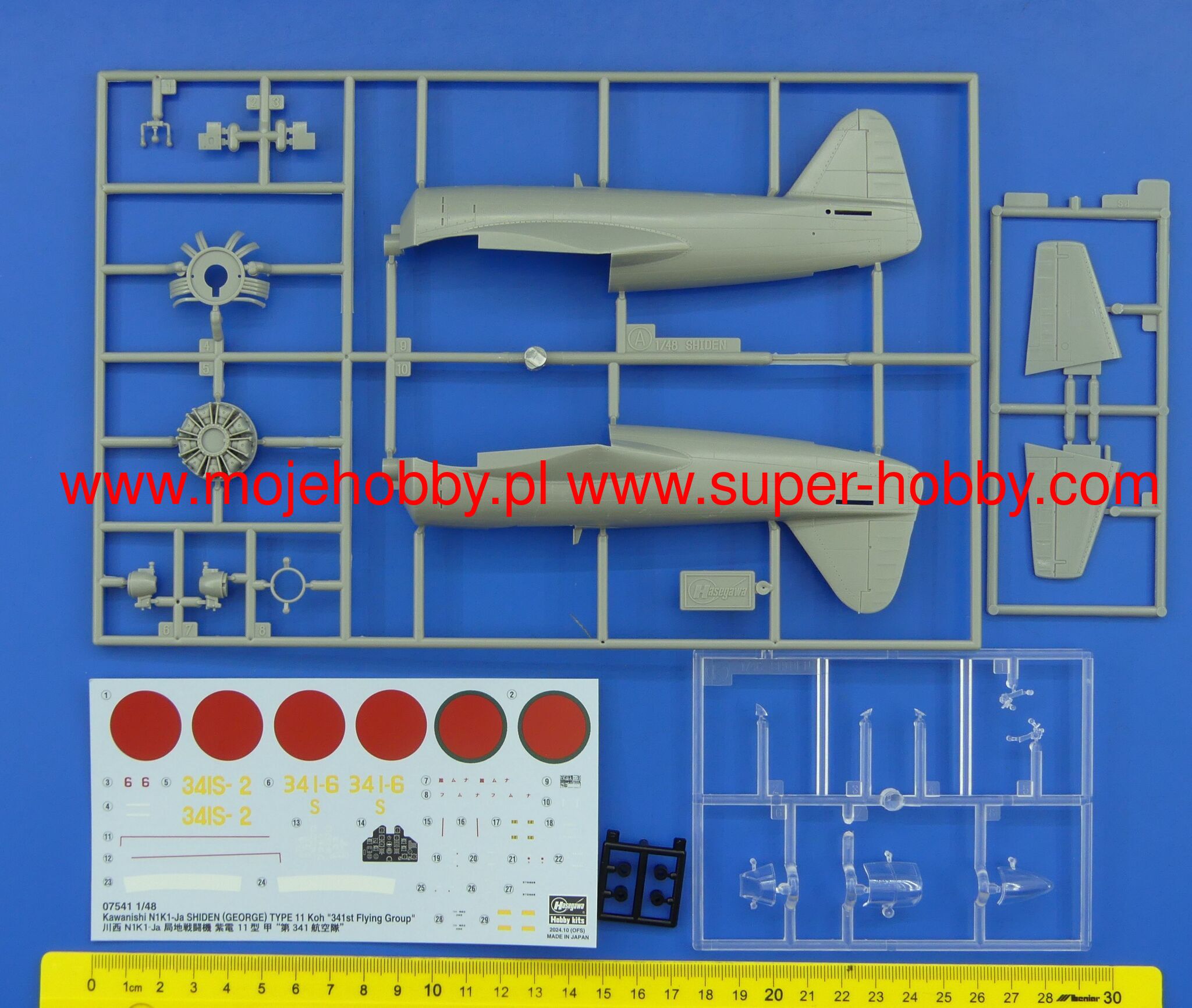 Kawanishi N1K1-Ja Shiden (George) Type 11 Koh - 341st Flying Group