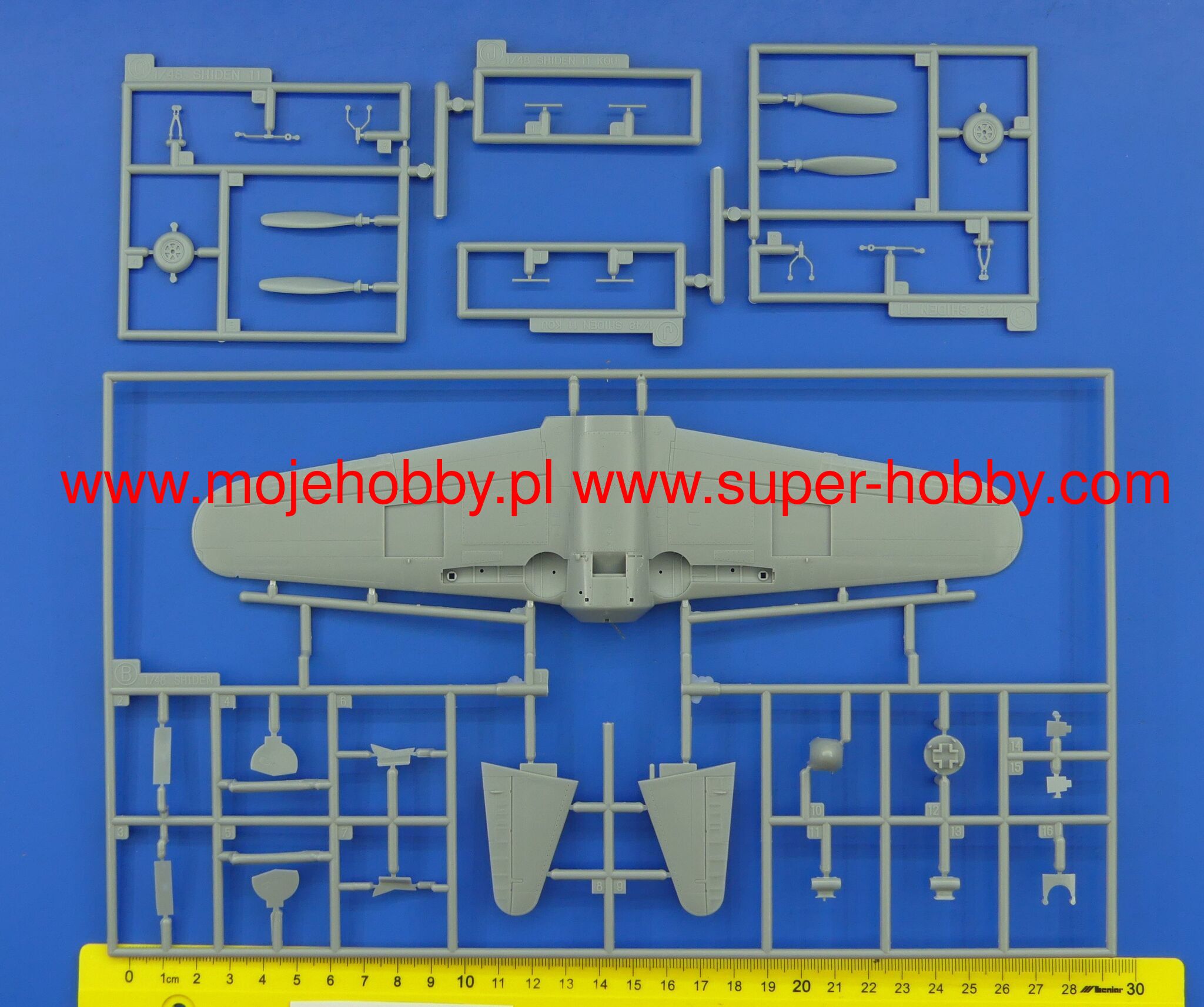 Kawanishi N1K1-Ja Shiden (George) Type 11 Koh - 341st Flying Group