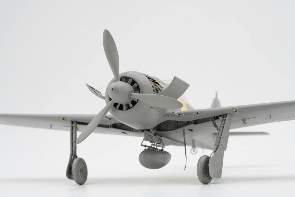 Focke-Wulf Fw-190 A-8 R2/6/7/8 (4 in 1 Kit) Border Model -BF009