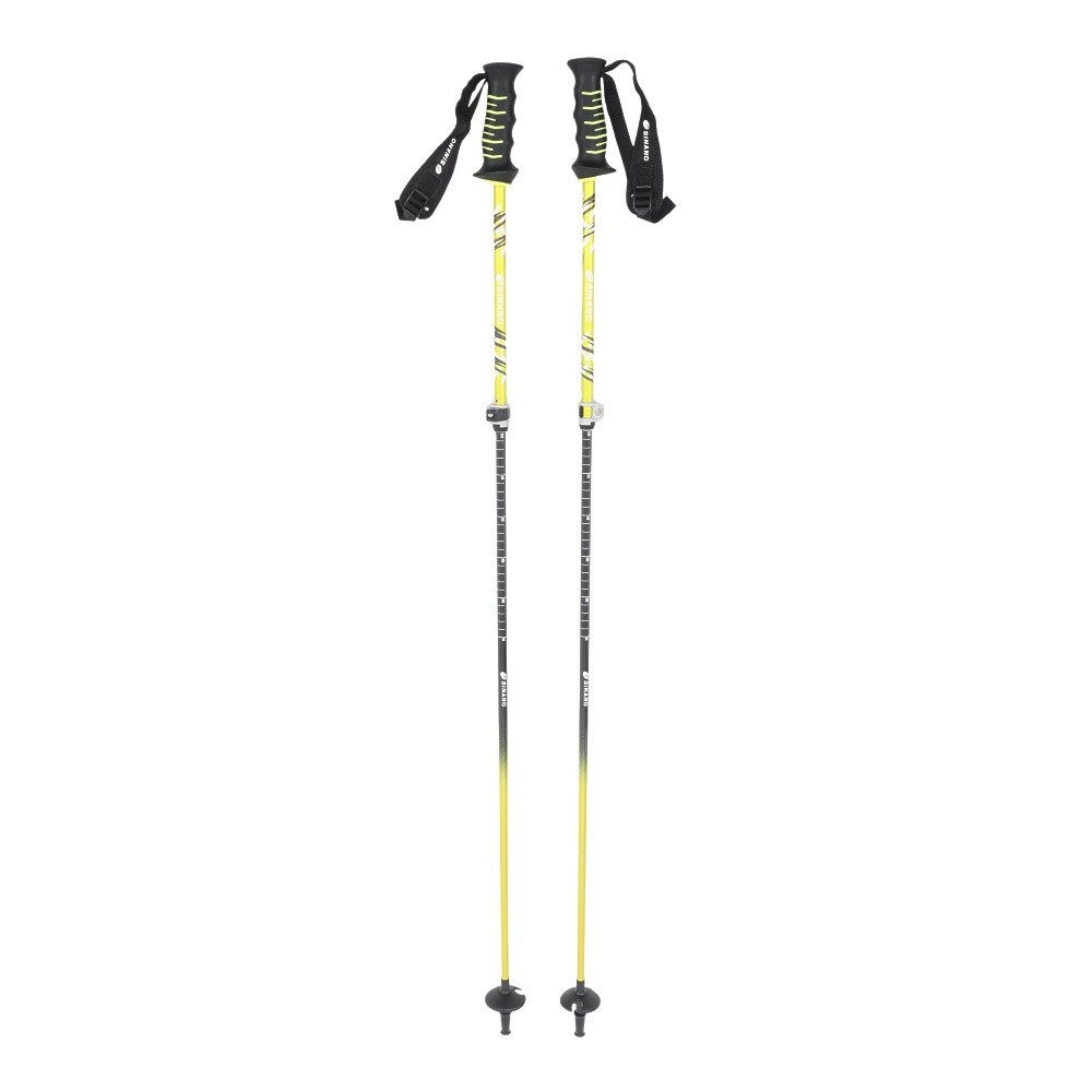 シナノ（SINANO）（メンズ、レディース）スキーポール フリー FAST