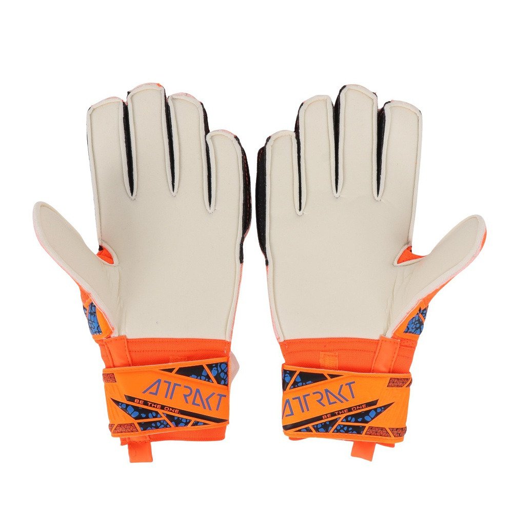 ロイシュ（REUSCH）（メンズ、レディース、キッズ）キーパーグローブ
