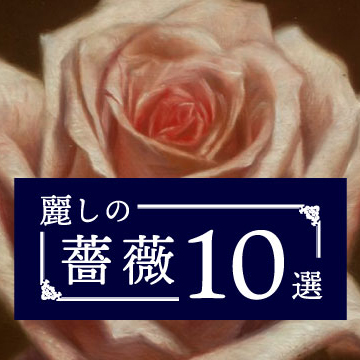 麗しの薔薇 10選 | 美術品販売｜東京銀座ぎゃらりい秋華洞
