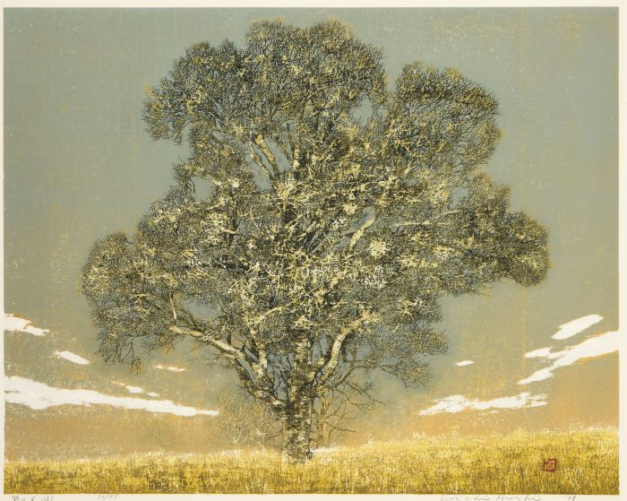 星 襄一「野の木（A）」の販売 | 美術品販売｜東京銀座ぎゃらりい秋華洞