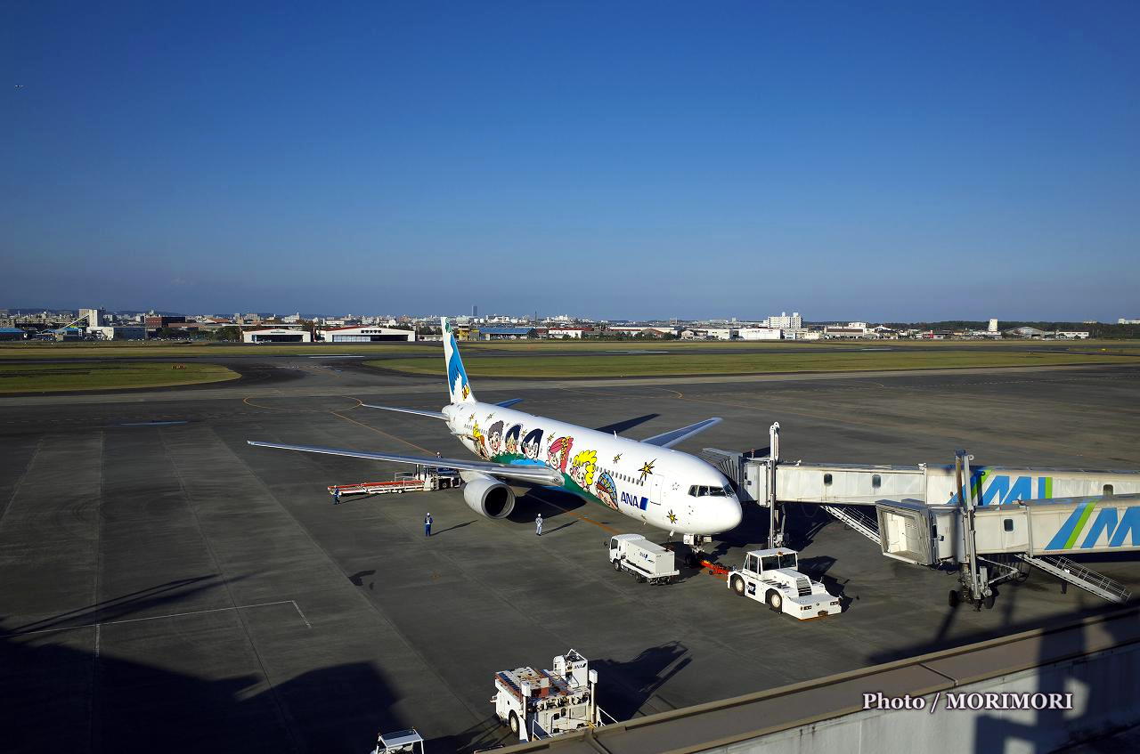 ANA ゆめジェット ～You&Me～｜宮崎ブーゲンビリア空港にて