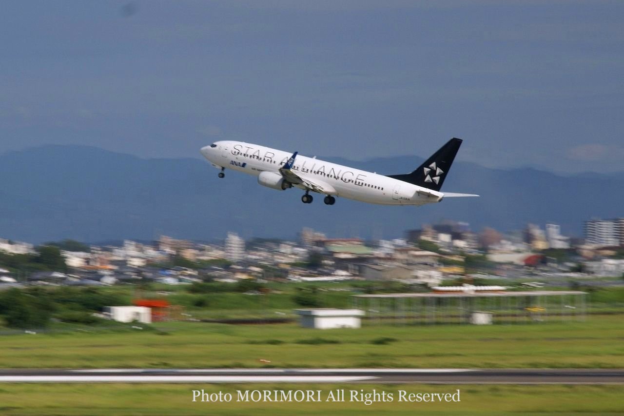 スターアライアンス特別塗装機の写真｜B737-800 JA51AN STAR ALLIANCE