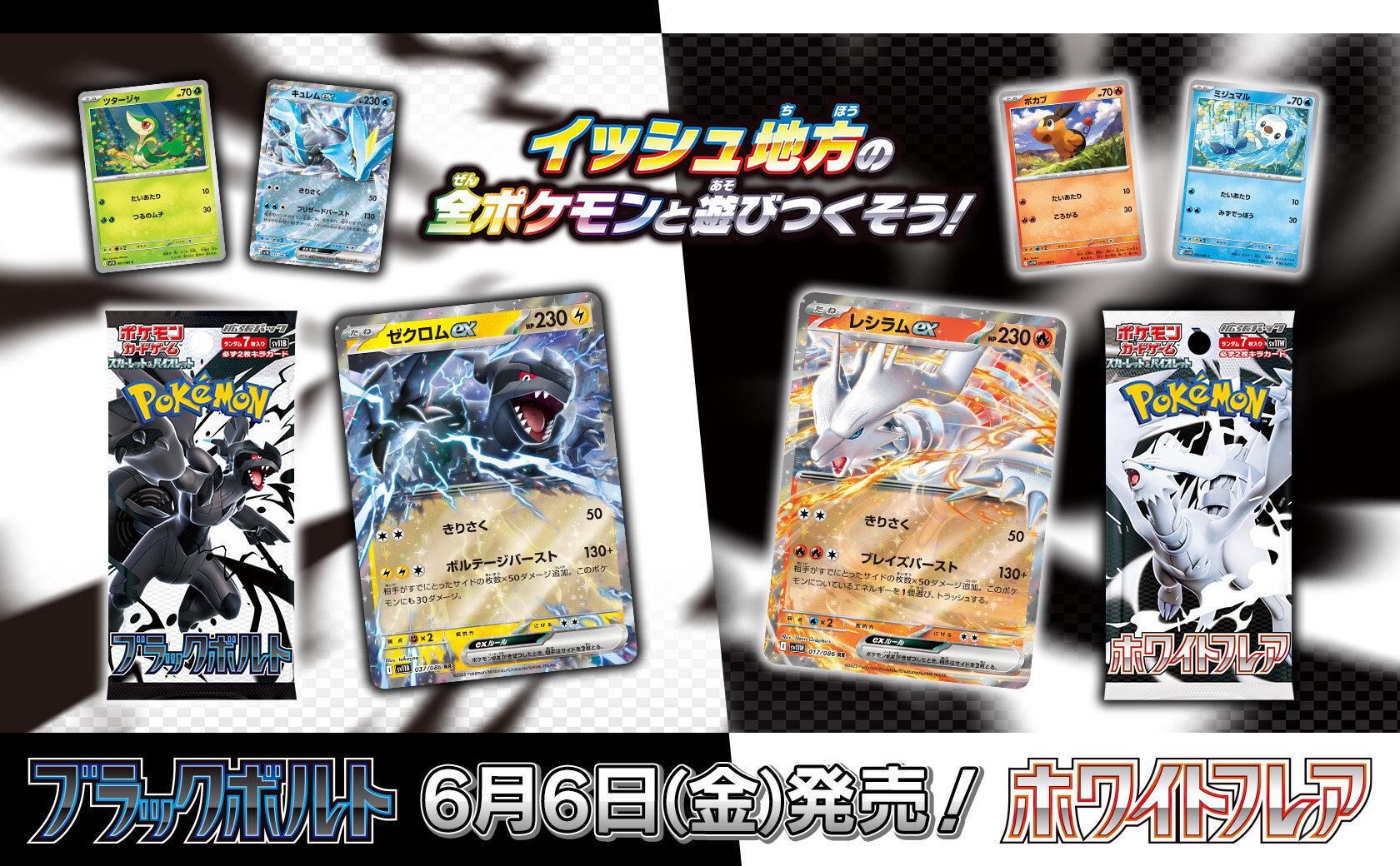 ゼクロムex」「レシラムex」などの収録カードを一挙公開！ | ポケモン