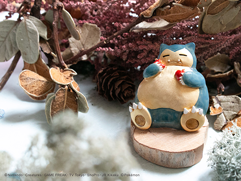 ポケットモンスター アクセサリーシリーズ｜ポケットモンスター