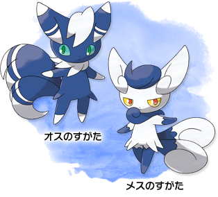 ニャオニクス｜『ポケットモンスター X』『ポケットモンスター Y