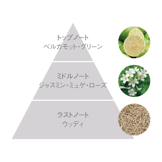 アペックス フルイド(120mL): 商品詳細 | ポーラ公式 エイジングケアと