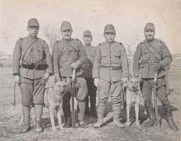 沿革（ギャラリー） - 日本警察犬協会