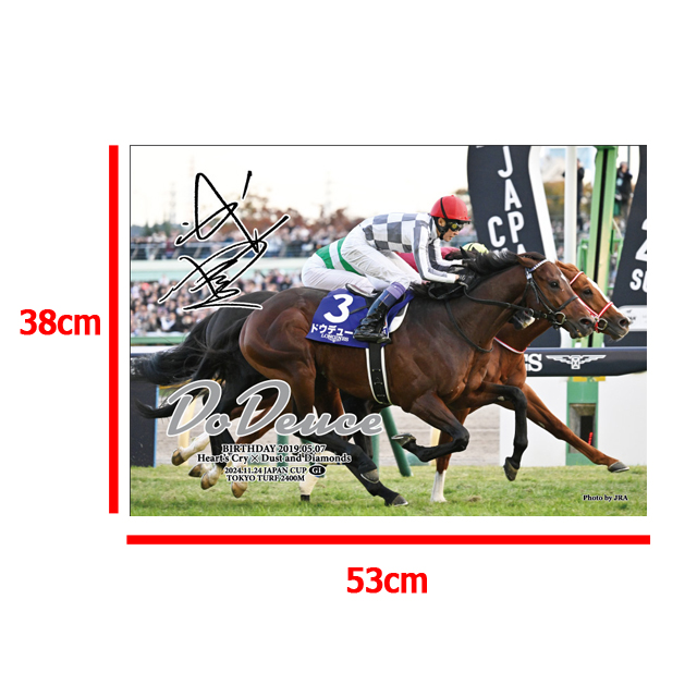 ドウデュース 2024年ジャパンカップ ジグソーパズル 500ピース