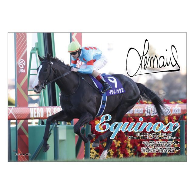 イクイノックス」2022年有馬記念Ver.ジグソーパズル500ピースSNT-EQJP