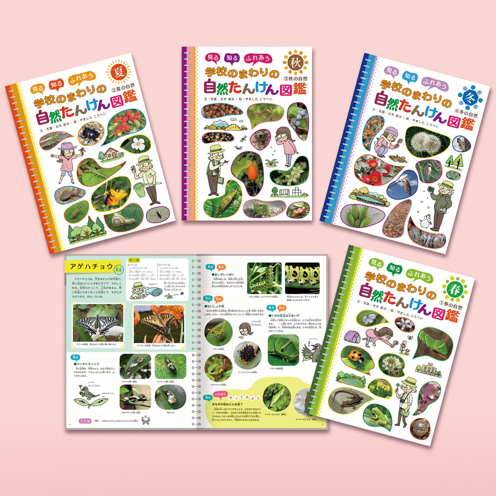 見る 知る ふれあう 学校のまわりの自然たんけん図鑑（全4巻）｜見る