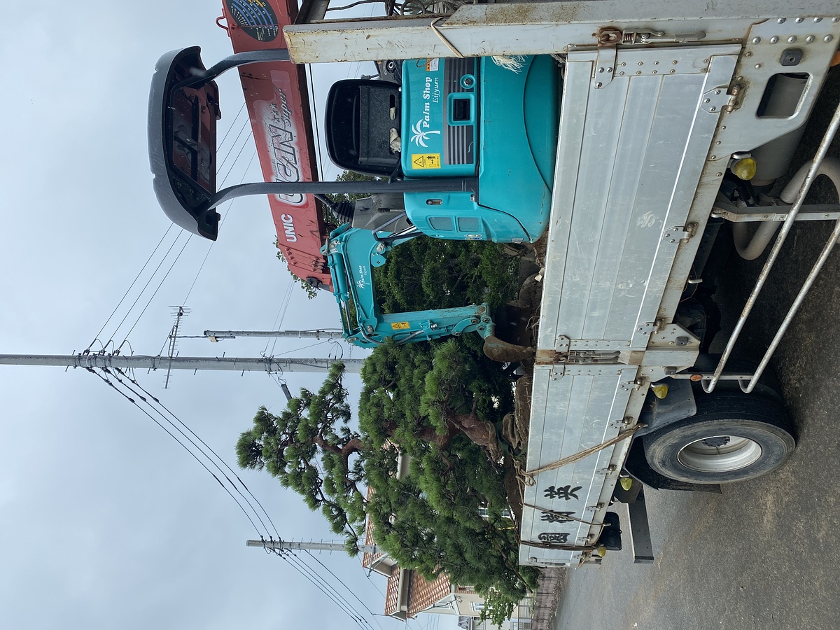 施工事例詳細 | Palmshop1184 |埼玉県深谷市でヤシの木販売