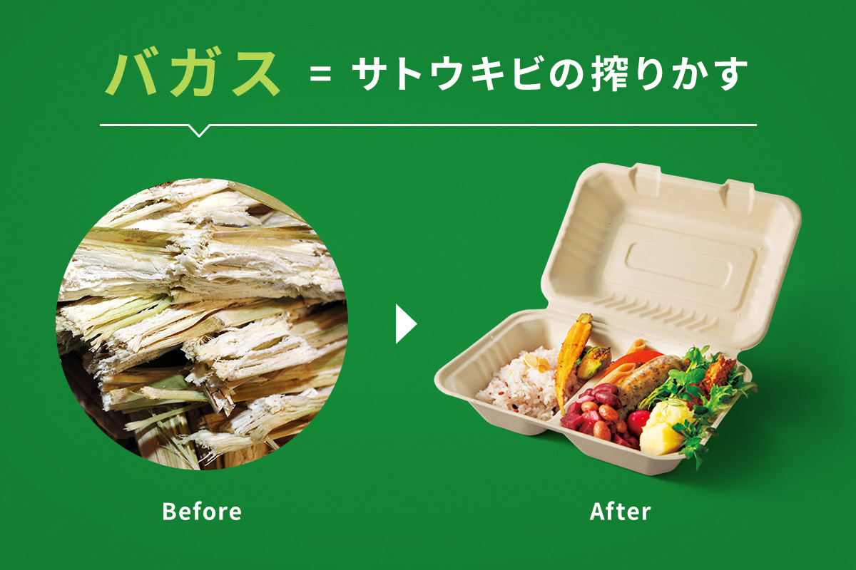 BBランチ135－115 | パックスタイル