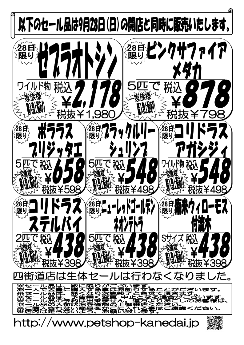 9月27日（土）〜28日（日）1点限り15%OFFクーポン券セール