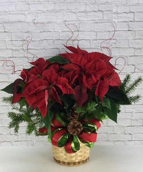 Albuquerque NM Holiday Plants & Wreath Delivery | Peoples Flowers