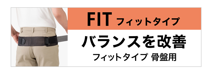 ファイテンサポーター ナノメタックス フィットタイプ 腰用