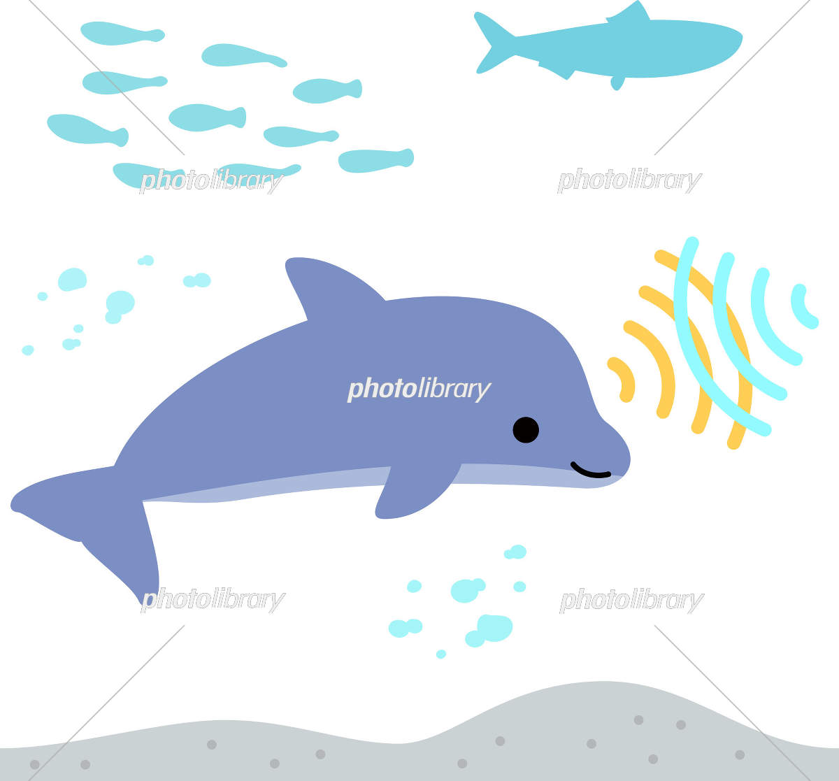 超音波を放ちながら泳ぐイルカのデフォルメイラスト イラスト素材