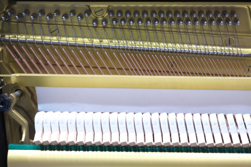 株式会社ピアノプラザ | KAISER K1M(812)