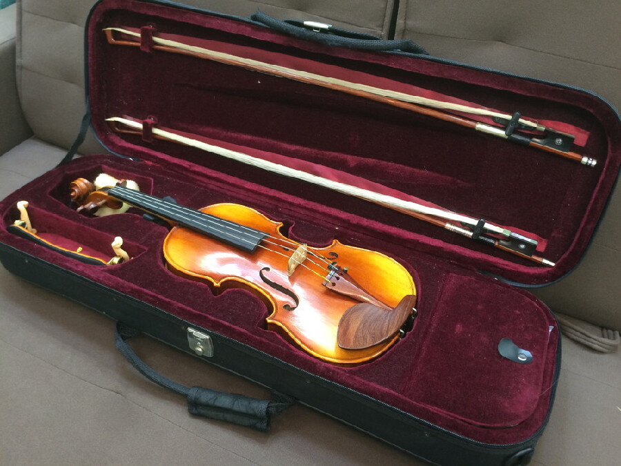 Valente バイオリン VN-60 入荷しました｜2024年09月12日｜静岡県の