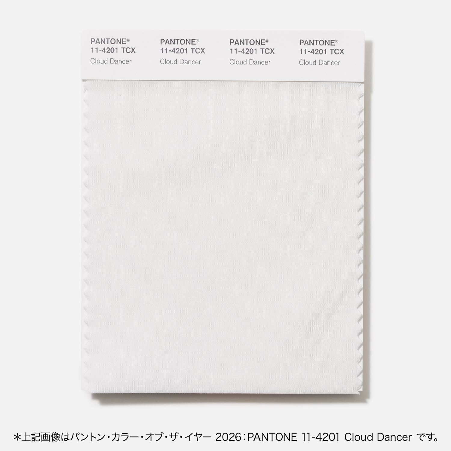 通販 オンラインショップ PANTONE パントン（パントーン）色見本帳