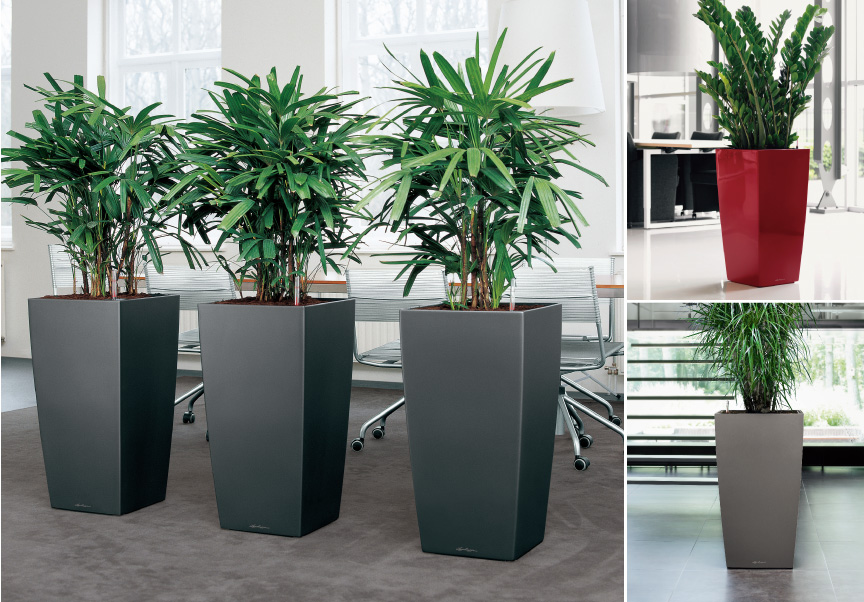 LECHUZAレチューザ』キュービコ40｜底面給水鉢