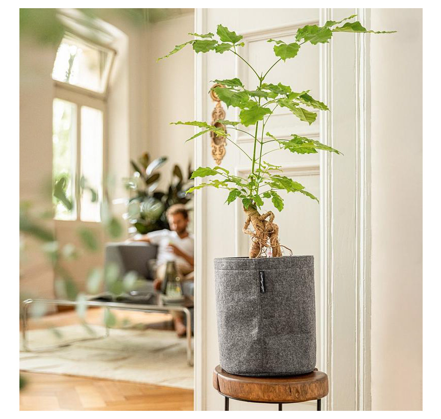 LECHUZAレチューザ』トレンドカバー23｜底面給水鉢