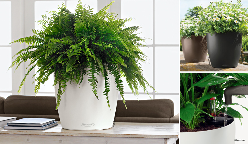 底面給水鉢 レチューザ・ラウンド35