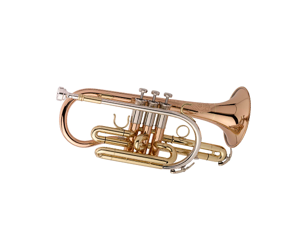 株式会社プリマ楽器 | GETZEN ゲッツェン | Cornets コルネット 800DLX