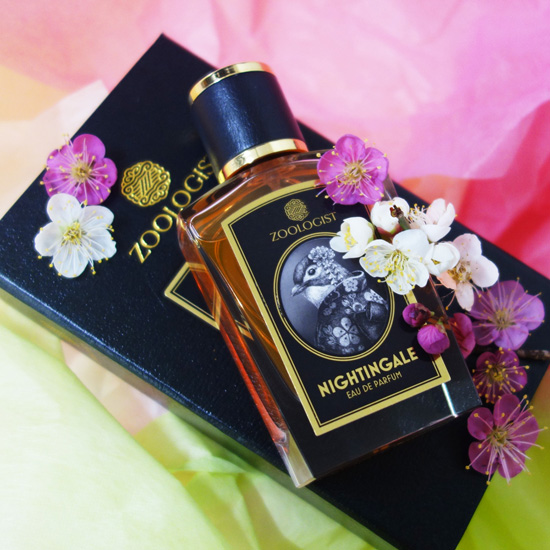 Nightingale / ナイチンゲール