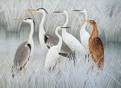 富山県／生誕100年―佐藤太清展｜富山県水墨美術館