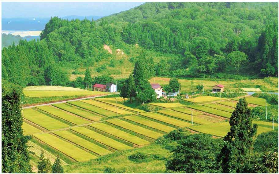 やまがたの棚田カード | 山形県