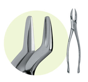 Premier Dental - 65 Mandibular Forceps