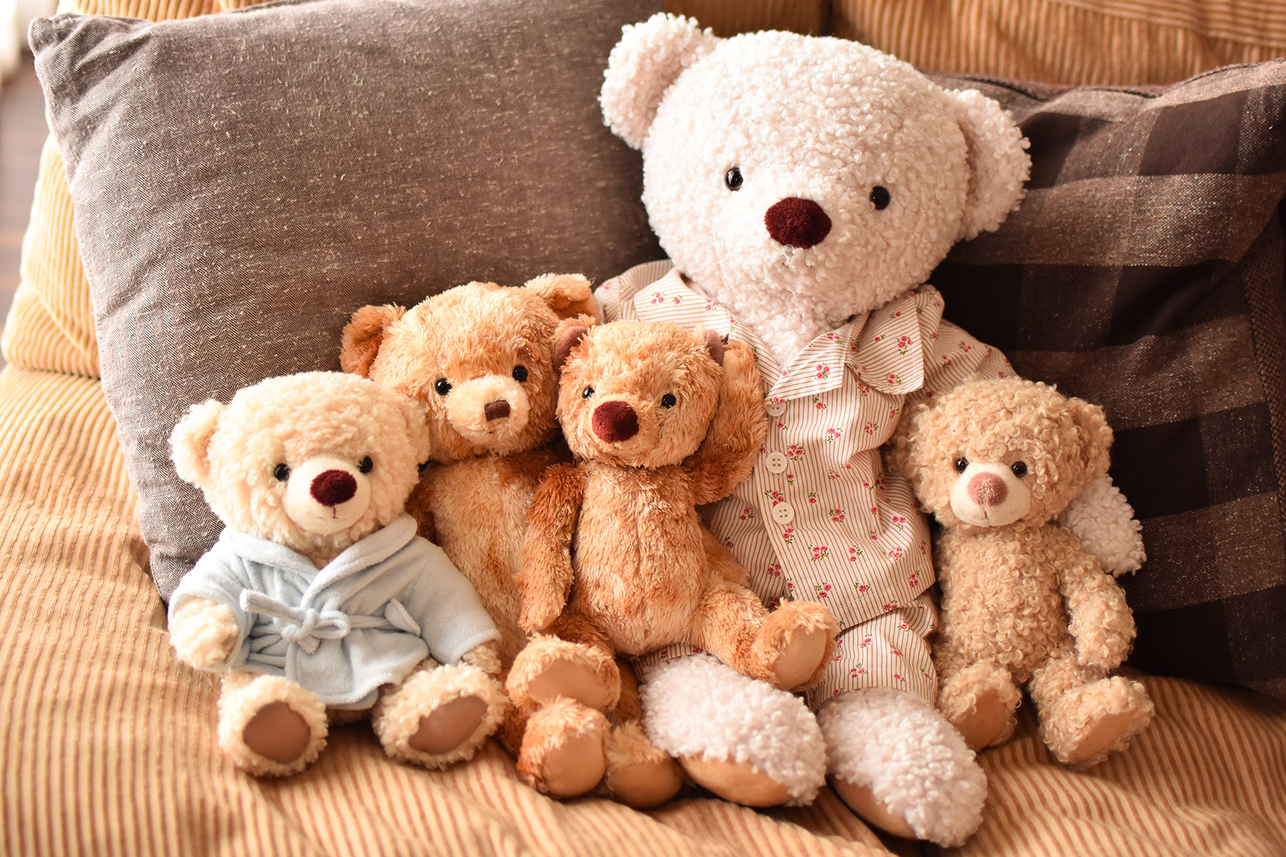 インドア派】相棒がいるとちょっと楽しい！秋の夜長、ぬいぐるみたちと