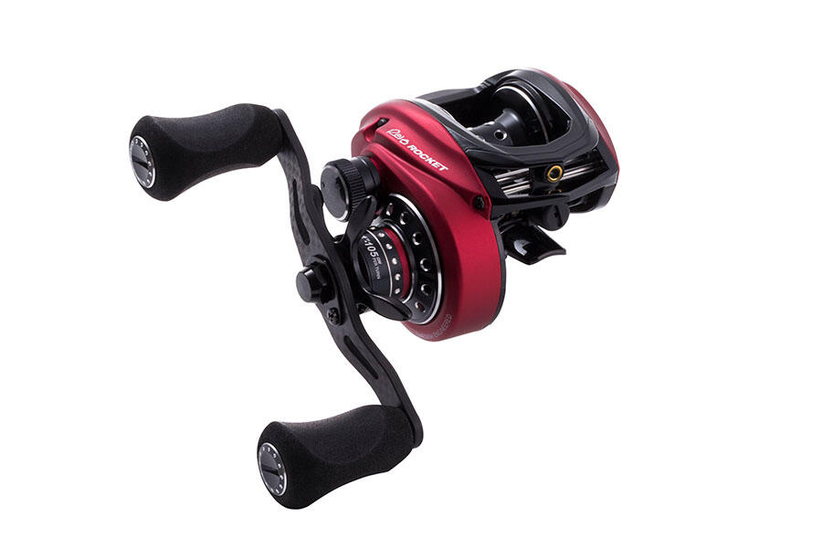 極上 アロカシア スティングレイ アルボ 極上 アロカシア スティング