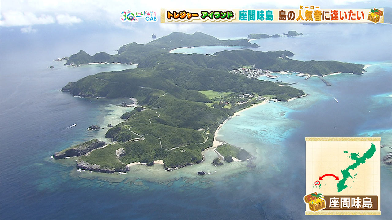 30離島再発見!! トレジャーアイランド「座間味島」 – QAB NEWS Headline