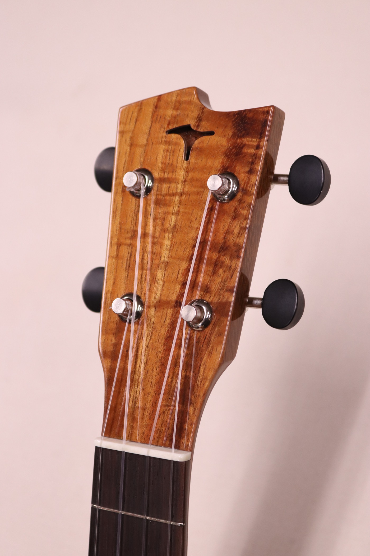 TASHIRO 田代輝之 手工ウクレレ TS-SK/pg | ギター・バイオリン