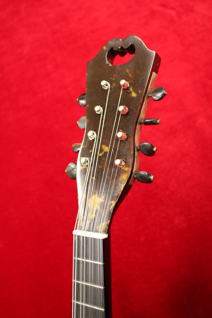 Nicola e Raffaele Calace ニコラ・ラファエレ・カラーチェ 1895