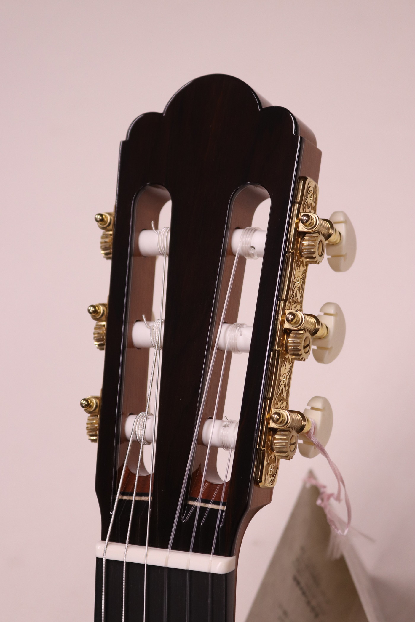 ASTURIAS アストリアス ルネッサンスS | ギター・バイオリン・チェロ