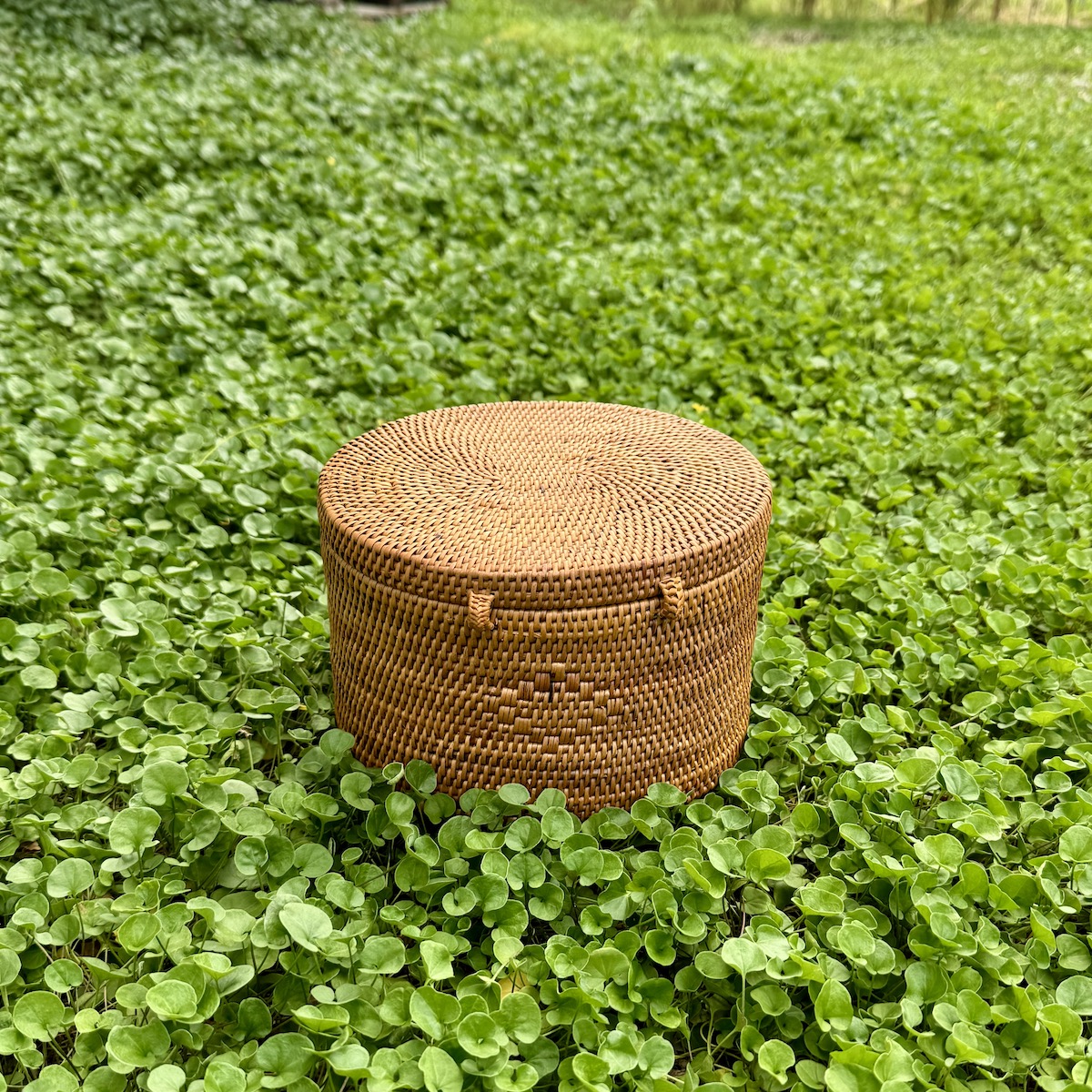 楕円蓋付き小物入 (BOX470) Rosily(ロージリー) バリ島 アタかご雑貨